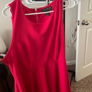 Pink 2X skater dress
